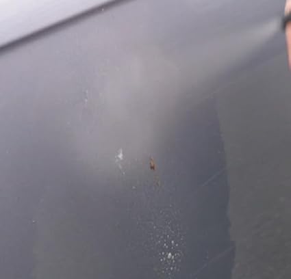 CARSHARK Bird Dropping Remover - Fast Acting Formula