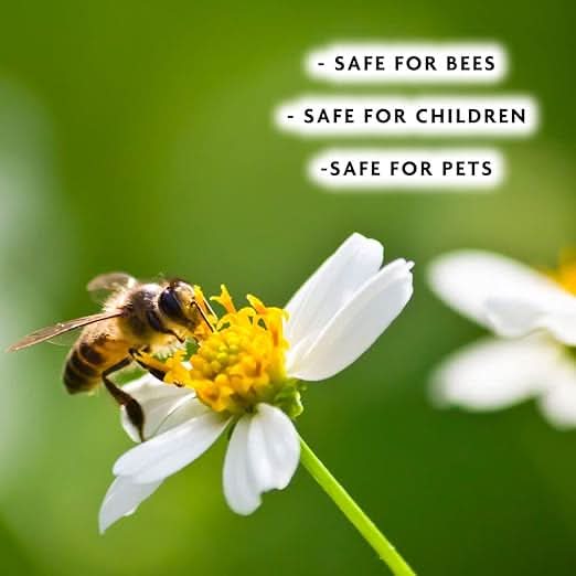 Enviro Works - Rose Protection Defender - 2 x 750ml Ready to Use - Control bugs, powdery mildew and provide roses with nutrition - Pesticide Free - Child and Pet Safe