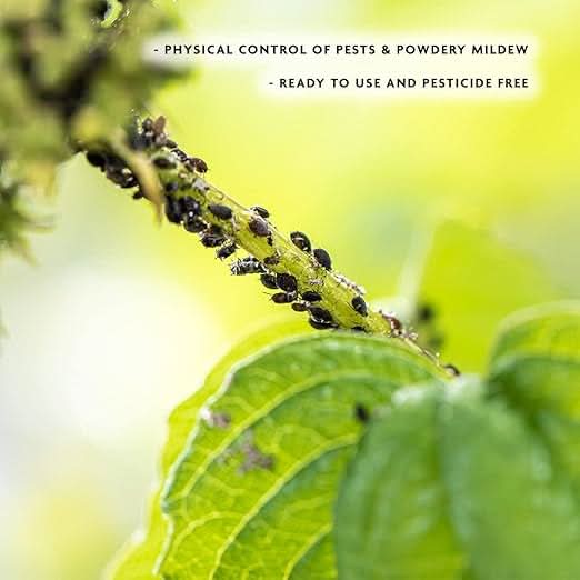 Enviro Works - Rose Protection Defender - 2 x 750ml Ready to Use - Control bugs, powdery mildew and provide roses with nutrition - Pesticide Free - Child and Pet Safe