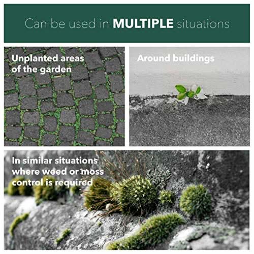 Weedblast Fast Acting Weedkiller 3 x 5 Litre with Long Hose Trigger (Ready to use), See Results Within 24 hours