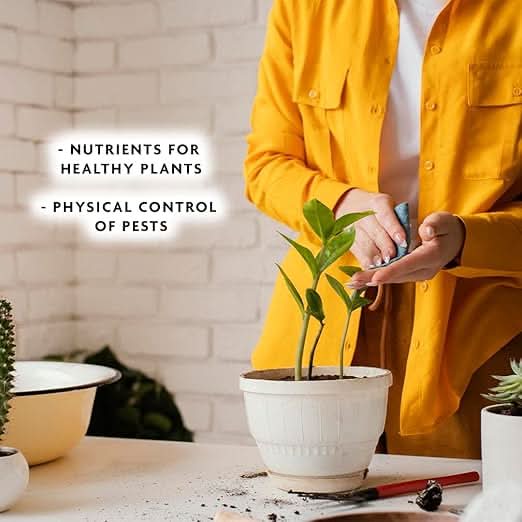 Spear & Jackson Houseplant Bug Control - Ideal For Use On Edible And Ornamental Indoor Plants