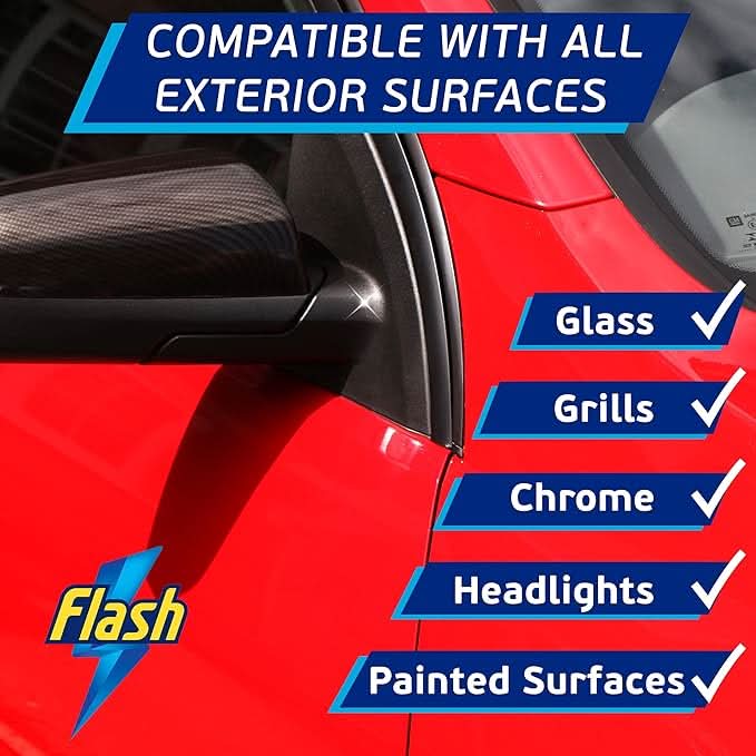 Flash Car Care Bug & Insect Remover