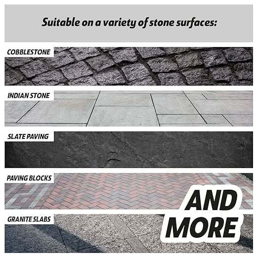 Armor All Path and Patio Cleaner 5L Concentrate - Paving sealant and Proofer 5L - 1 x Long Hose Trigger