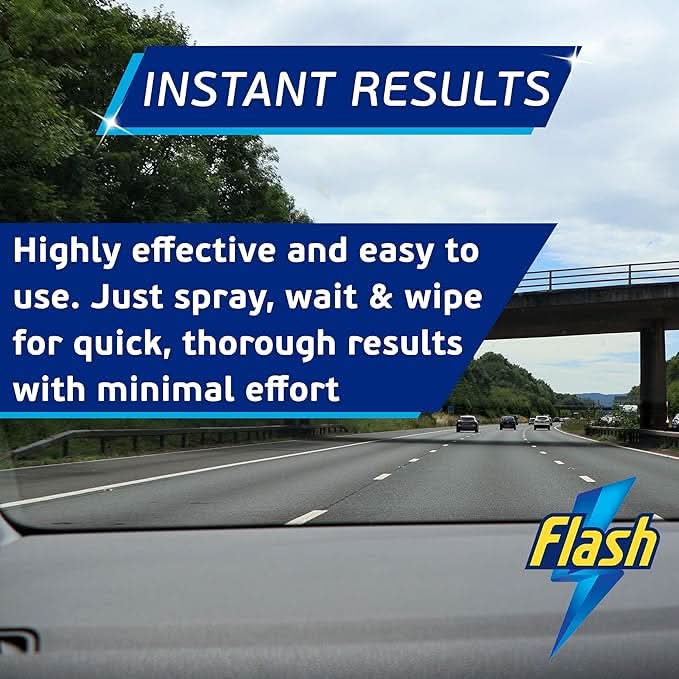 Flash Car Care Bug & Insect Remover
