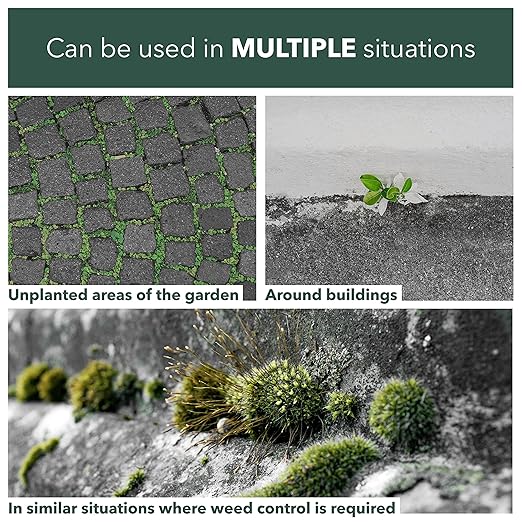 One Chem Moss Gone - Moss Killer