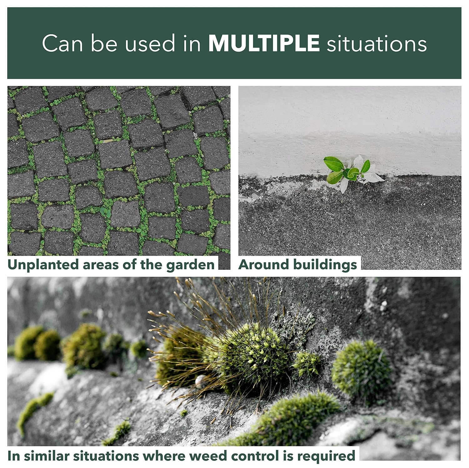 Weedblast Rootkill Concentrated Weedkiller 3 x 100 Sachets boxed