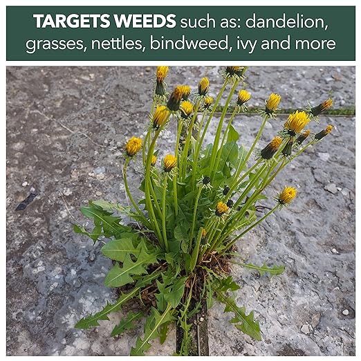 Weedblast Rootkill Concentrated Weedkiller 3 x 100 Sachets boxed