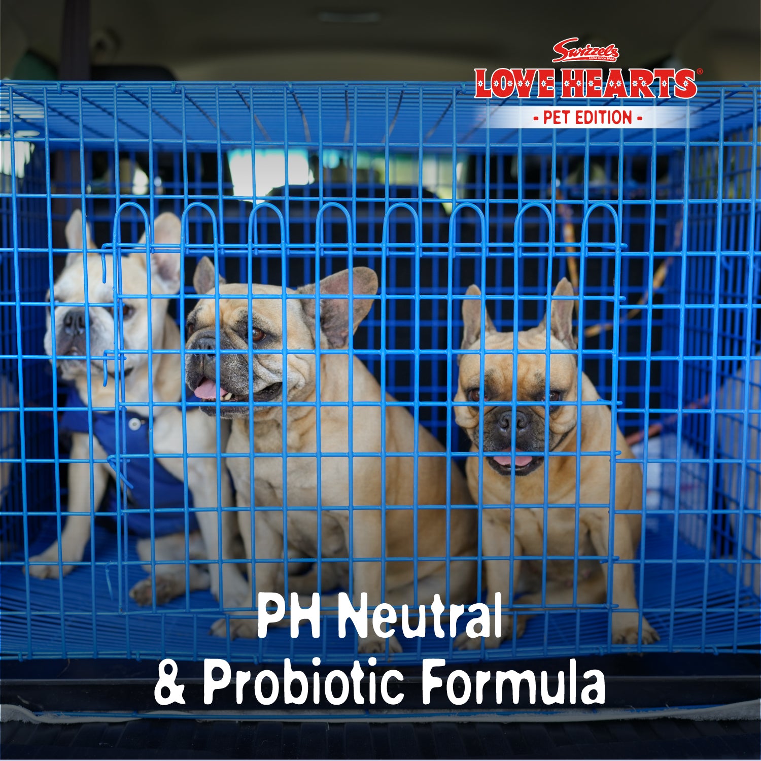 Swizzels Love Hearts - Cage & Litter Tray Cleaner - 2 x 750ml