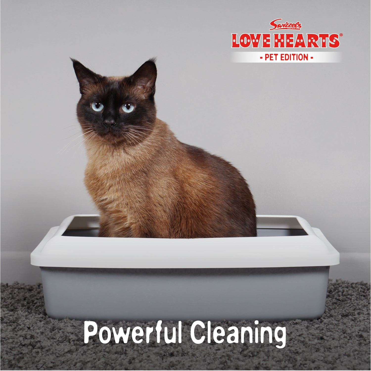 Swizzels Love Hearts Cage & Litter Tray Cleaner