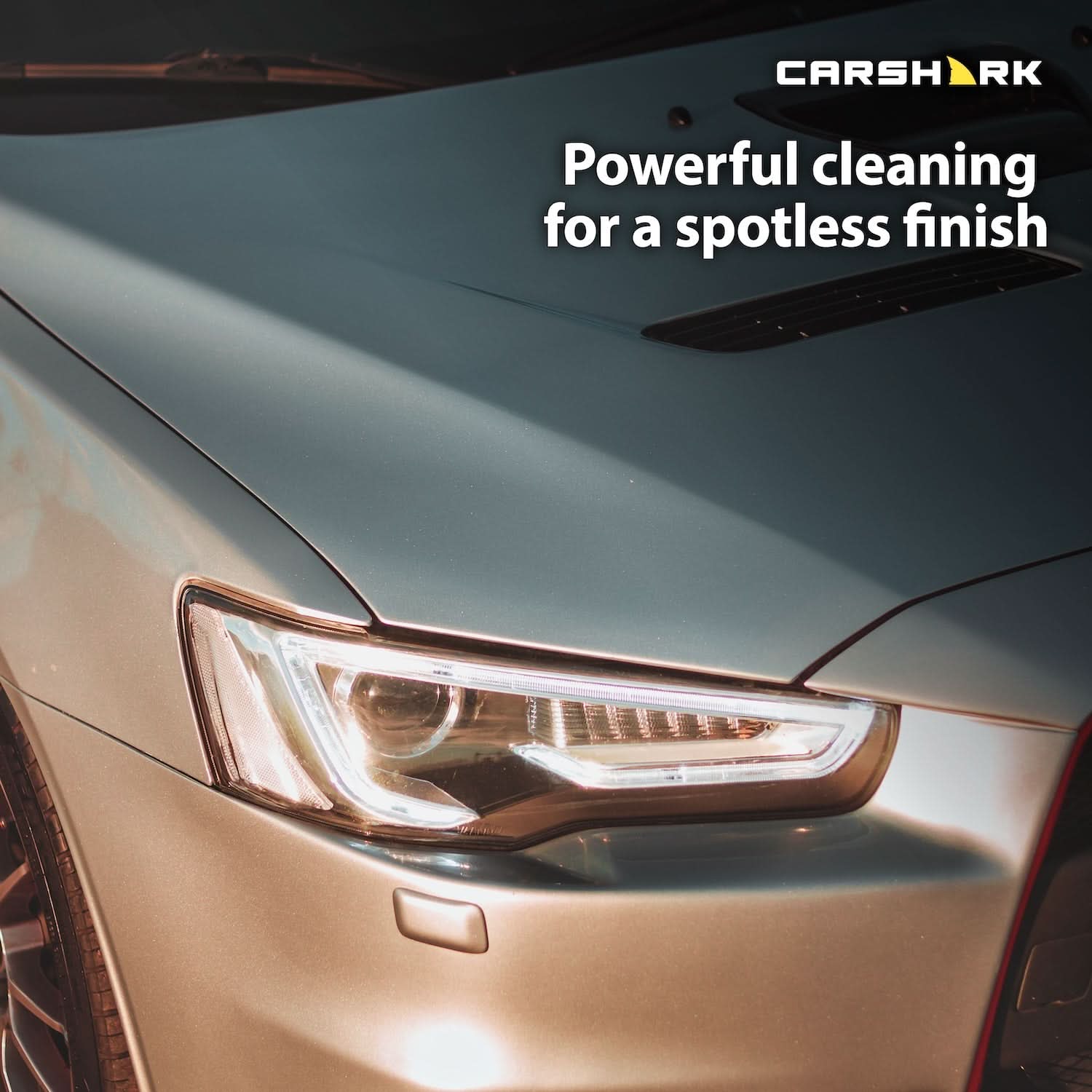CARSHARK Bug & Sap Remover