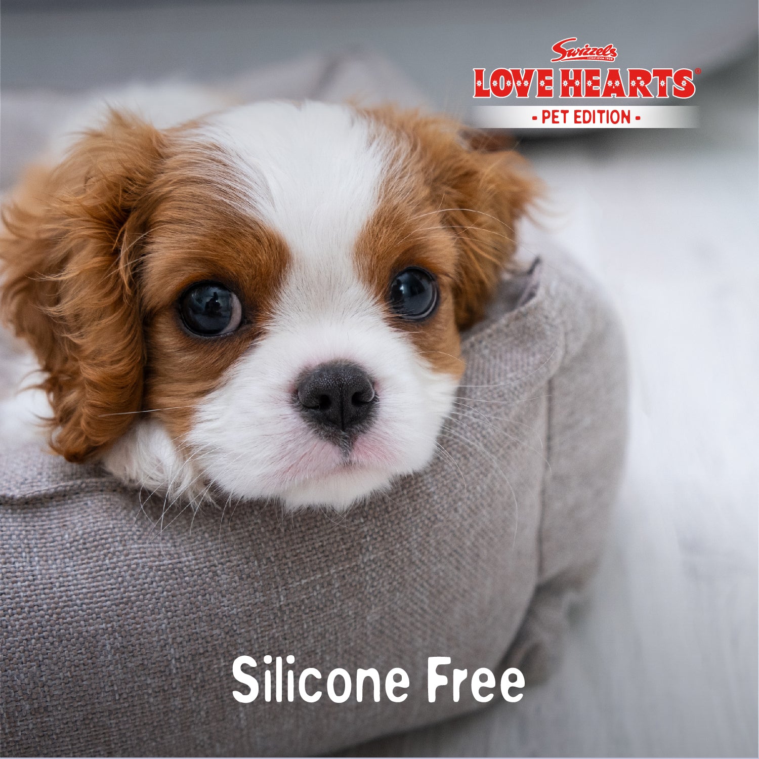 Swizzels Love Hearts - Puppy Shampoo - 2 x 250ml