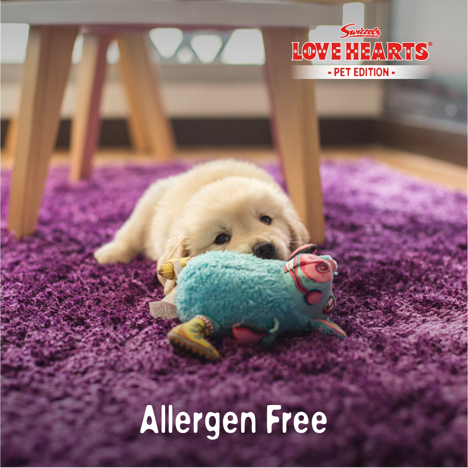 Swizzels Love Hearts - Puppy Shampoo - 2 x 250ml