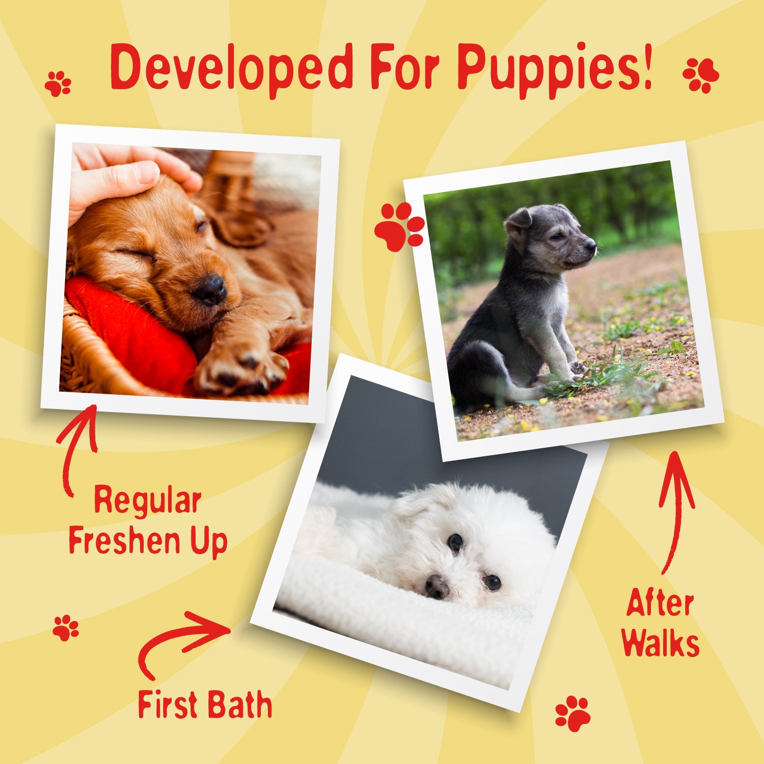 Swizzels Love Hearts - Puppy Shampoo - 2 x 250ml