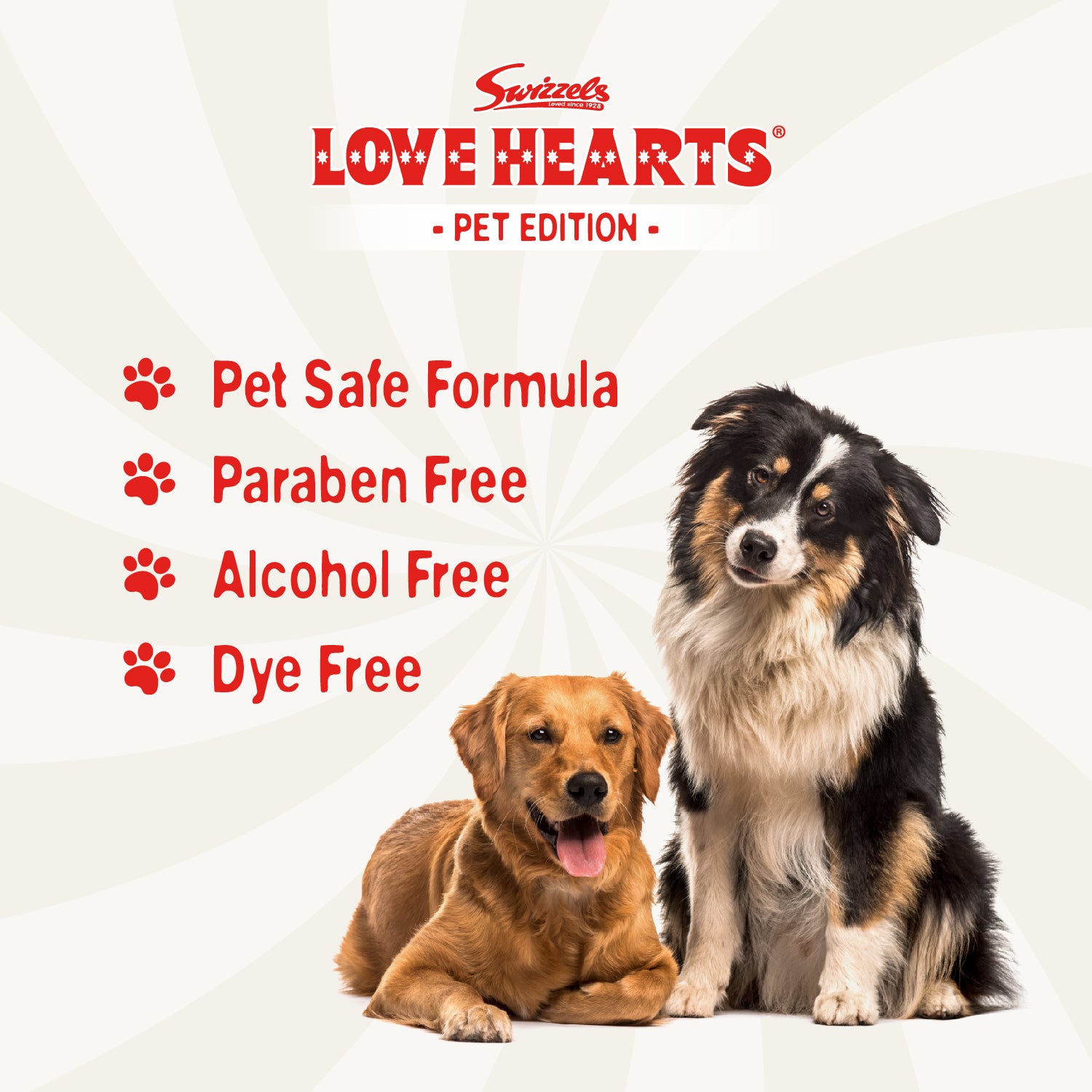 Swizzels Love Hearts Dirty Dog Shampoo