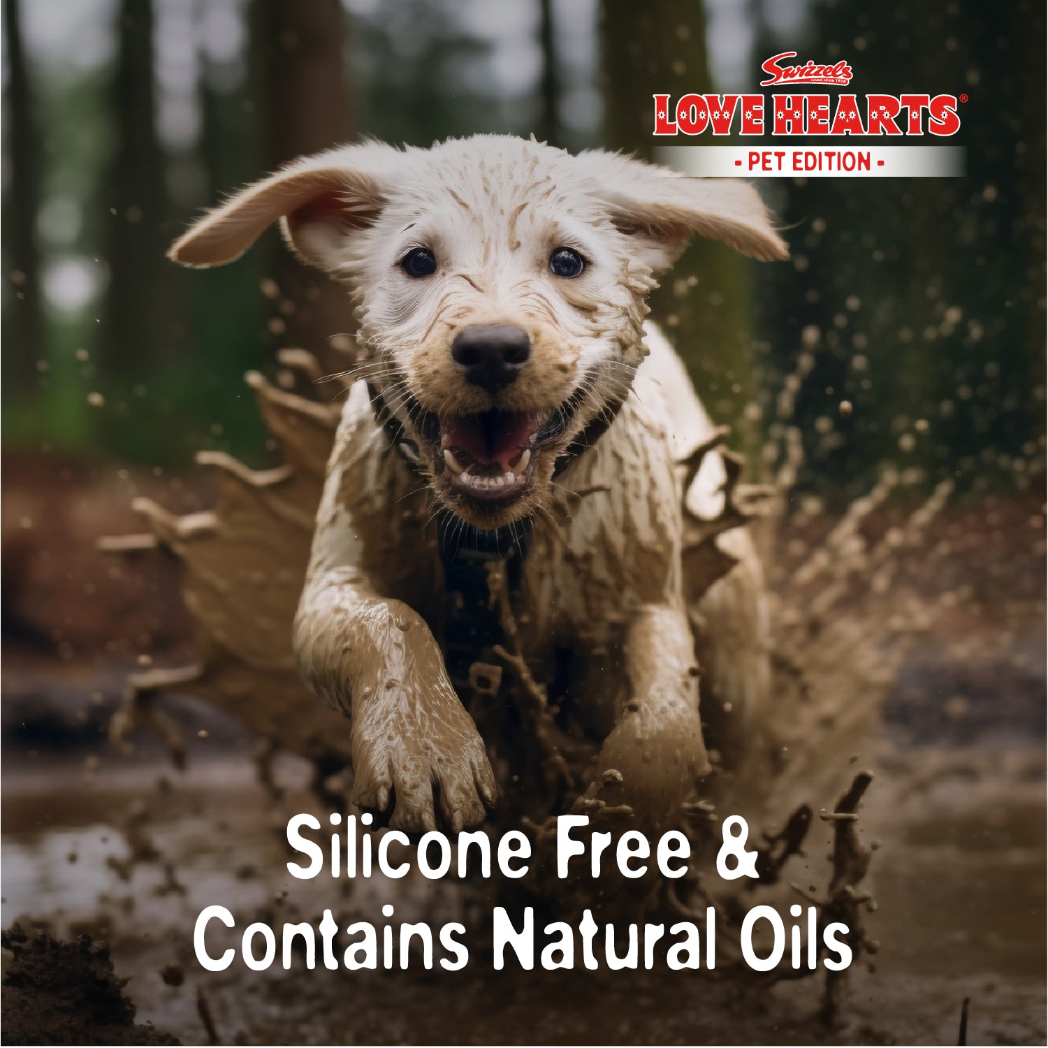 Swizzels Love Hearts Dirty Dog Shampoo