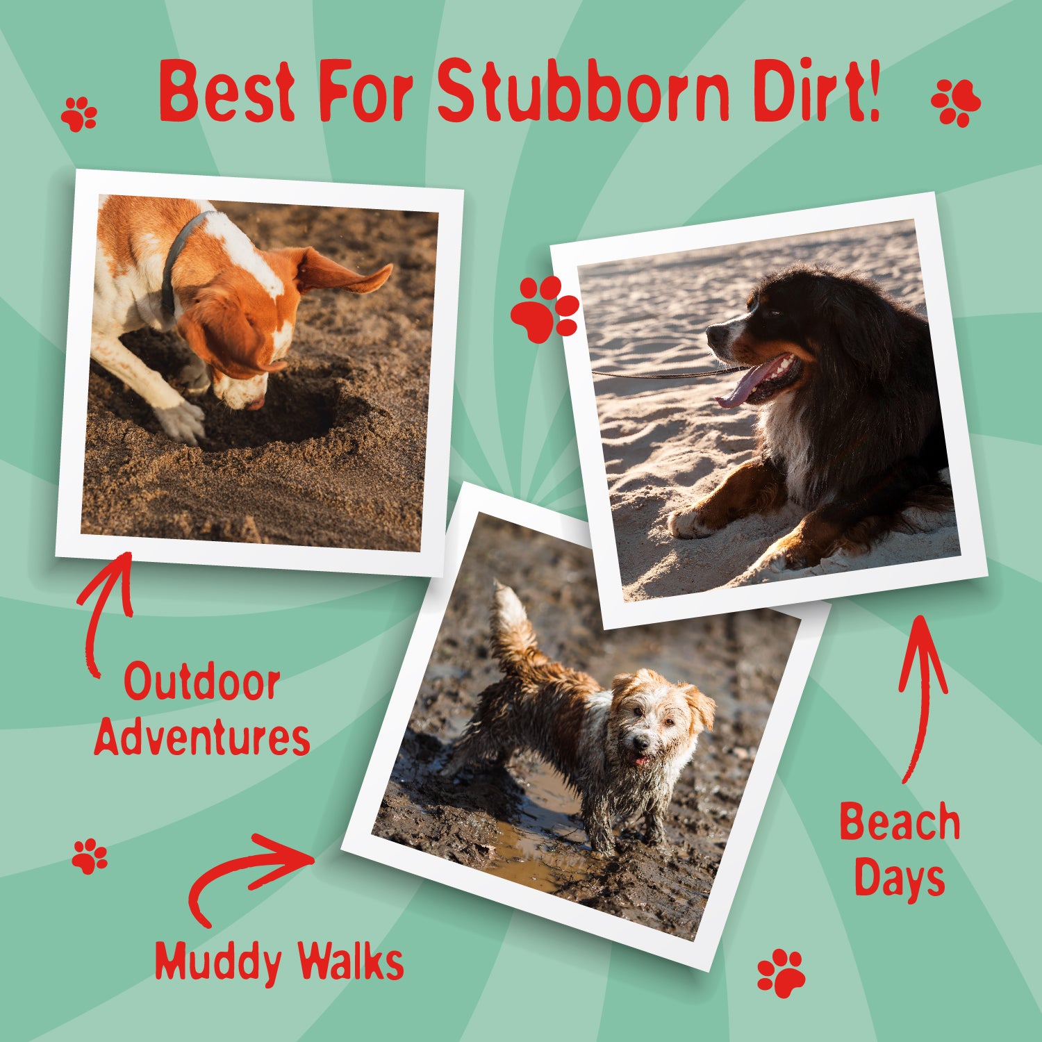 Swizzels Love Hearts Dirty Dog Shampoo