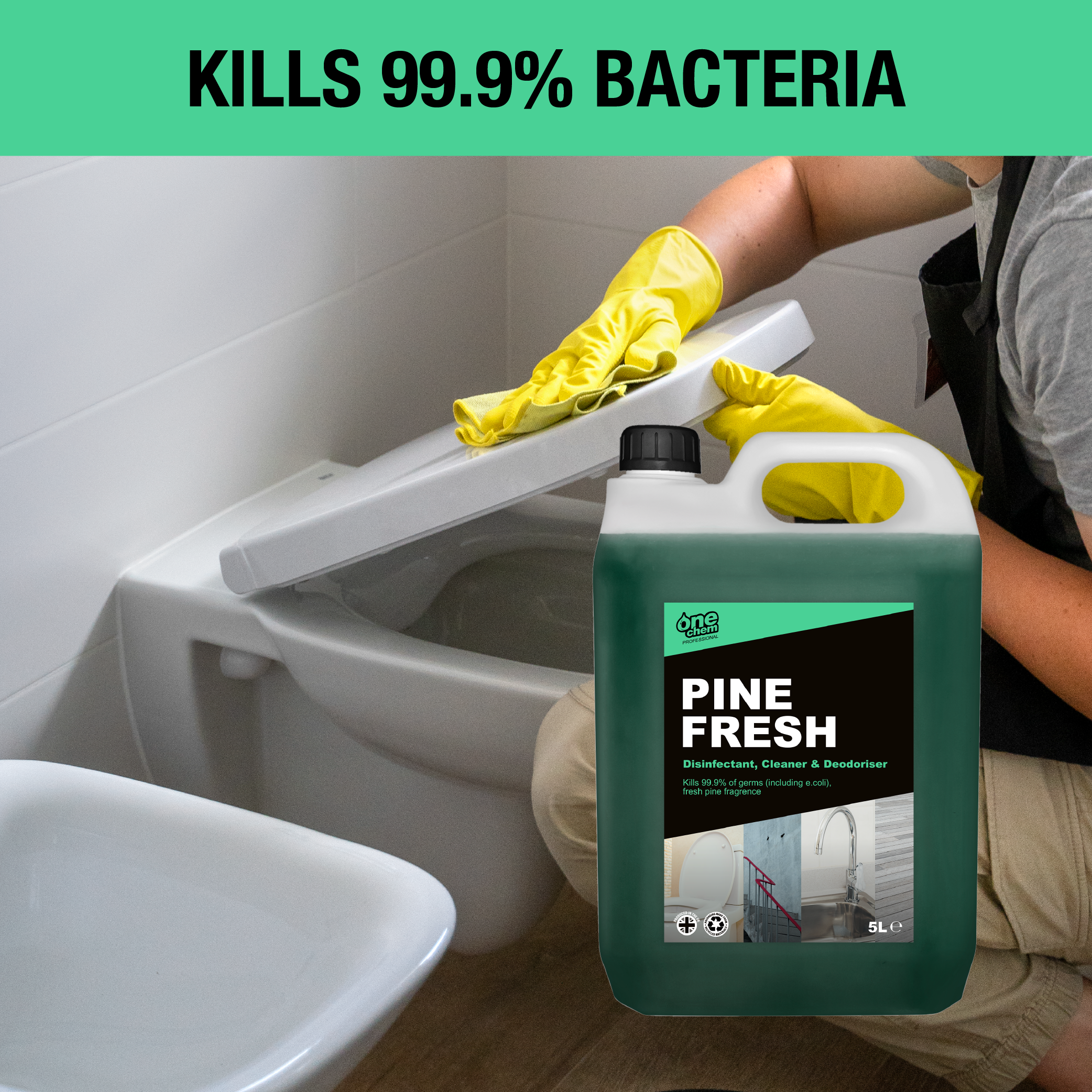 One Chem Professional Pine Fresh Disinfectant Concentrate 2 x 5L