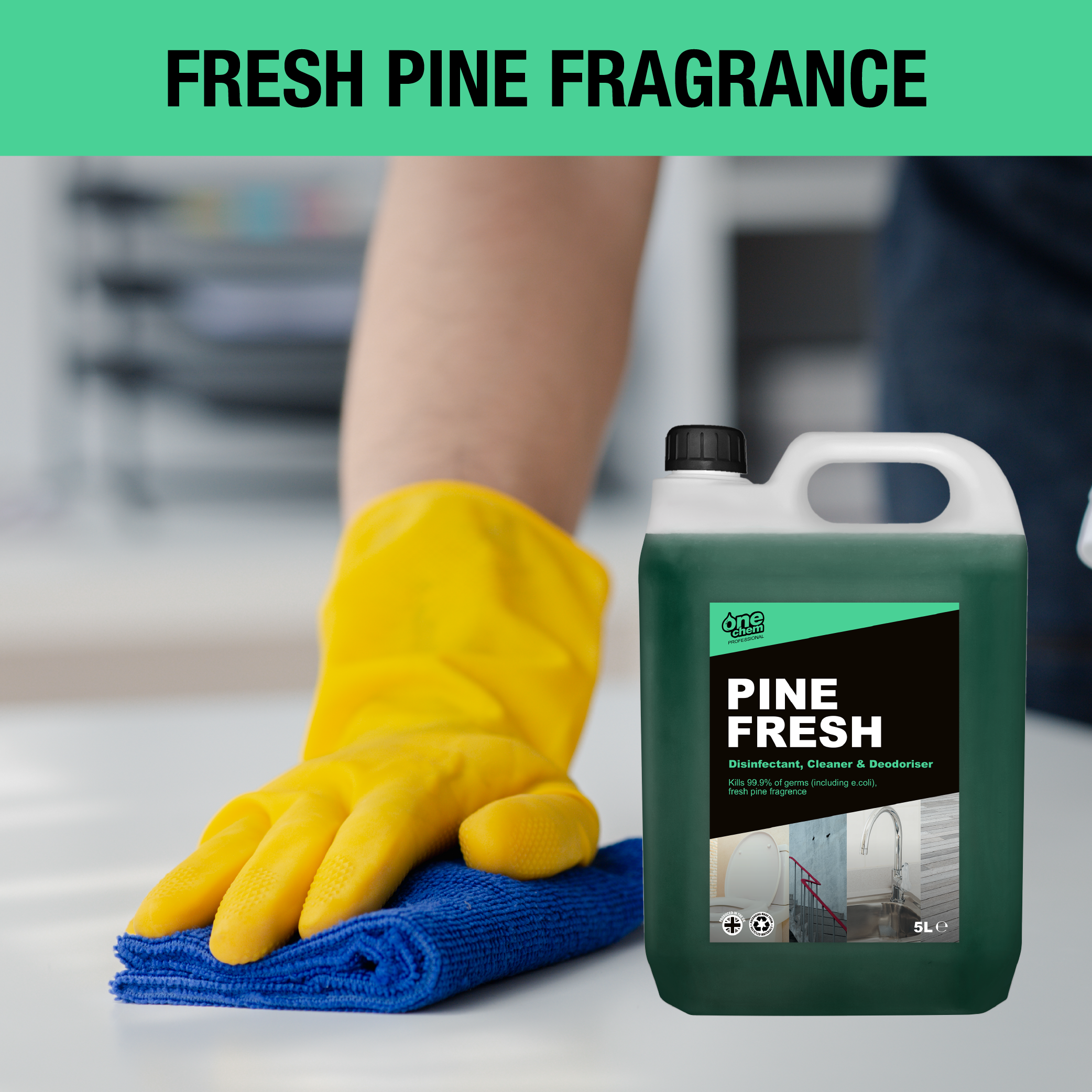One Chem Professional Pine Fresh Disinfectant Concentrate 2 x 5L