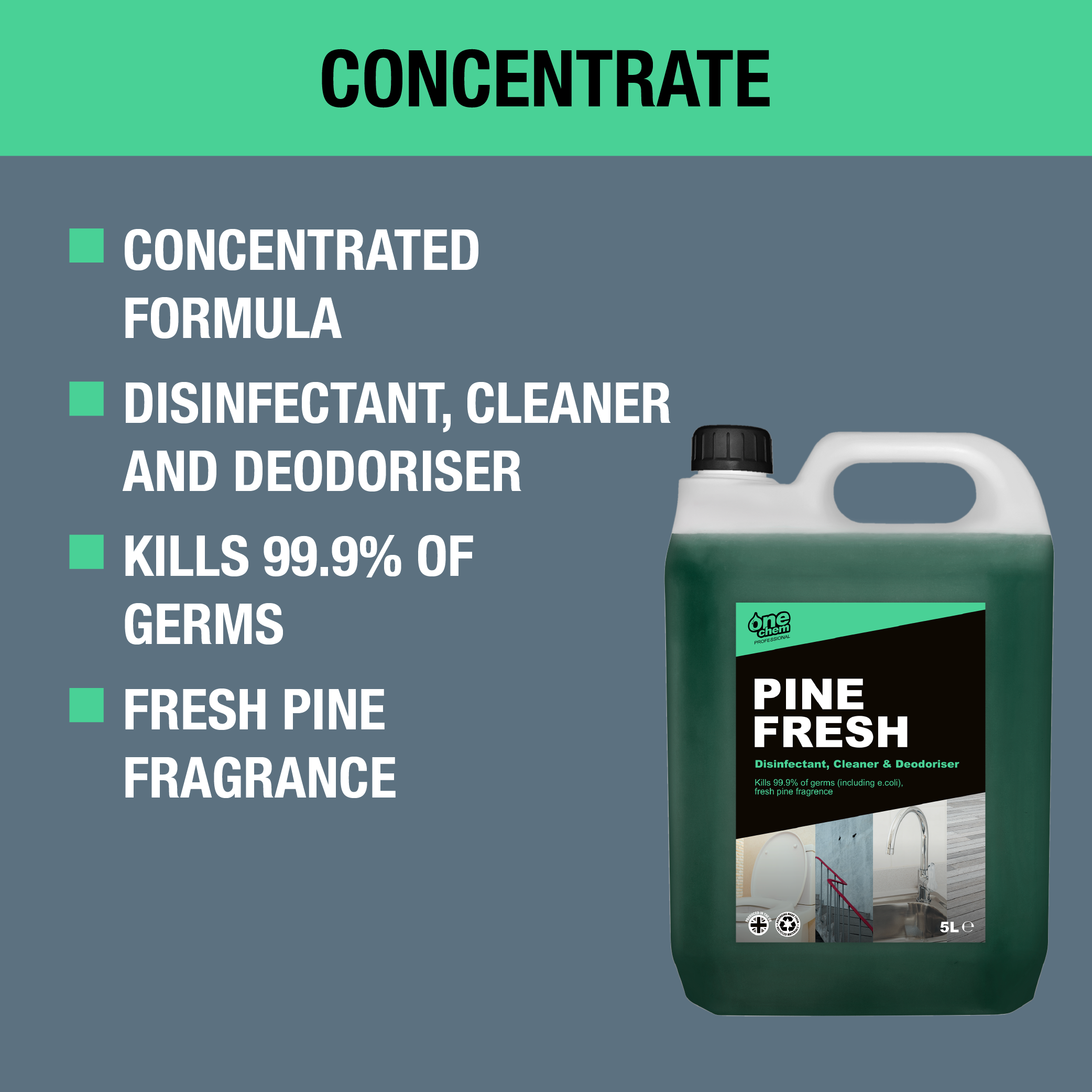 One Chem Professional Pine Fresh Disinfectant Concentrate 2 x 5L