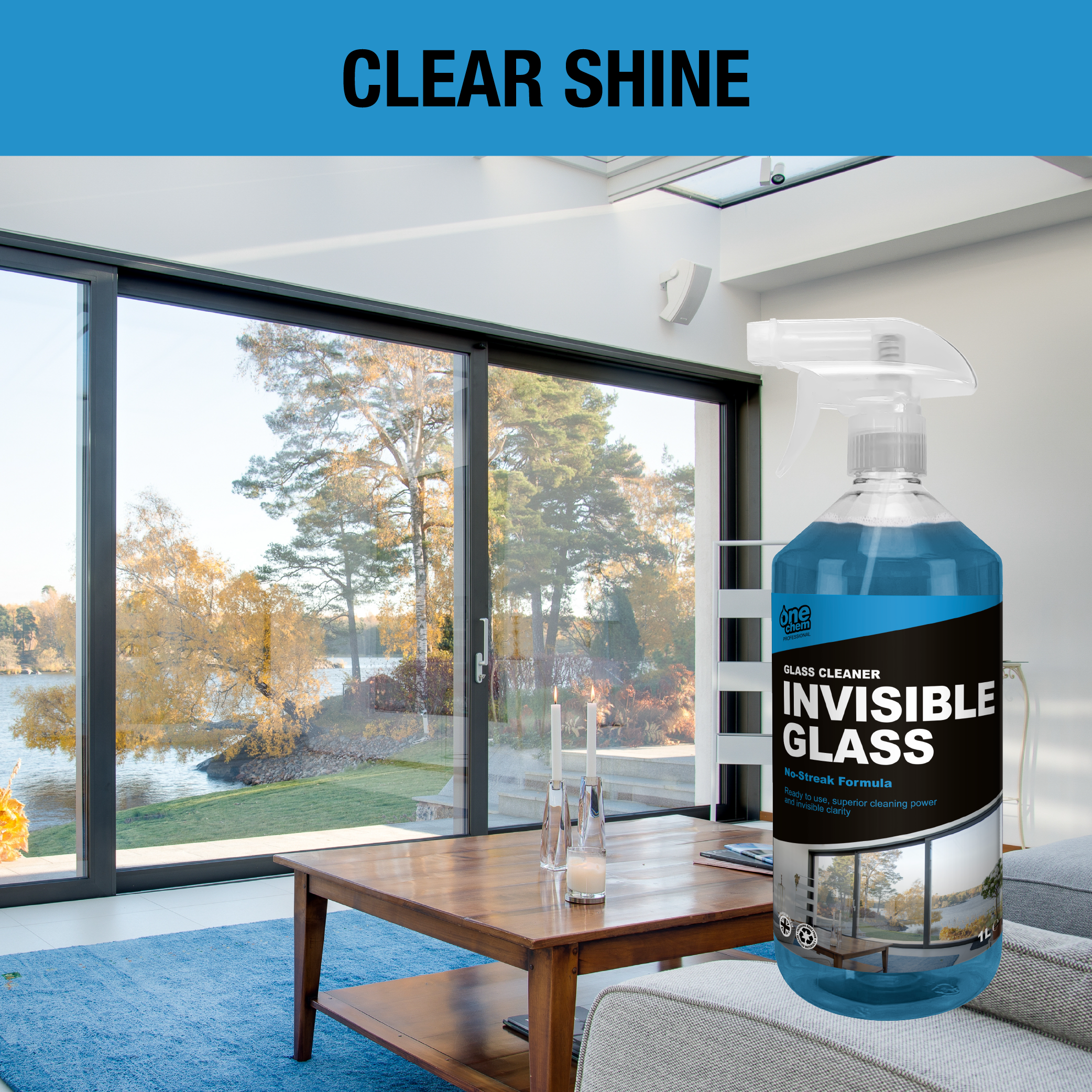 One Chem Professional Glass Cleaner - Invisible Glass