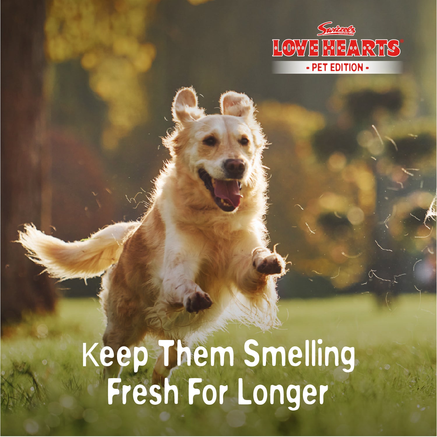 Swizzels Love Hearts - Pet Cologne - 2 x 250ml