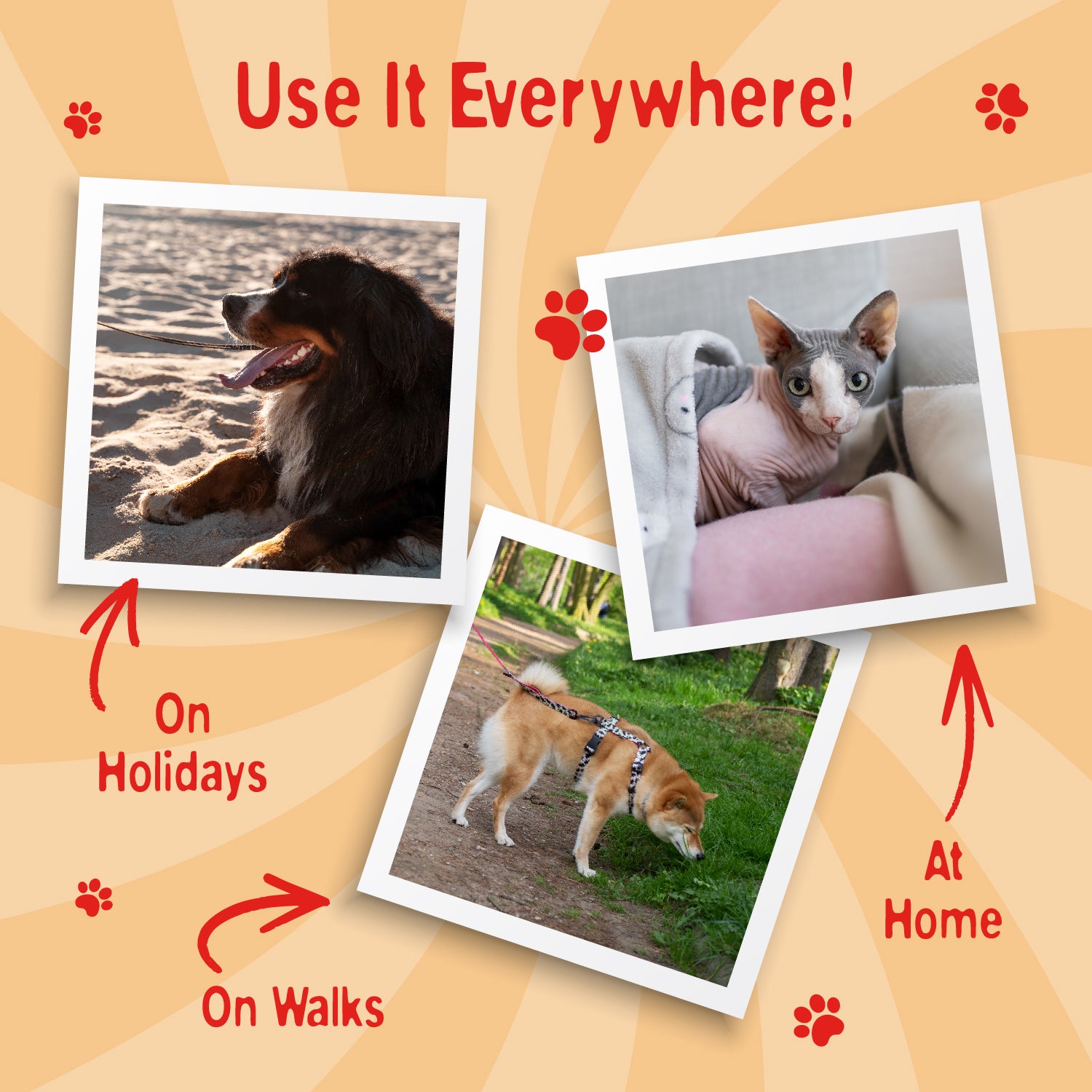 Swizzels Love Hearts - Pet Cologne - 250ml