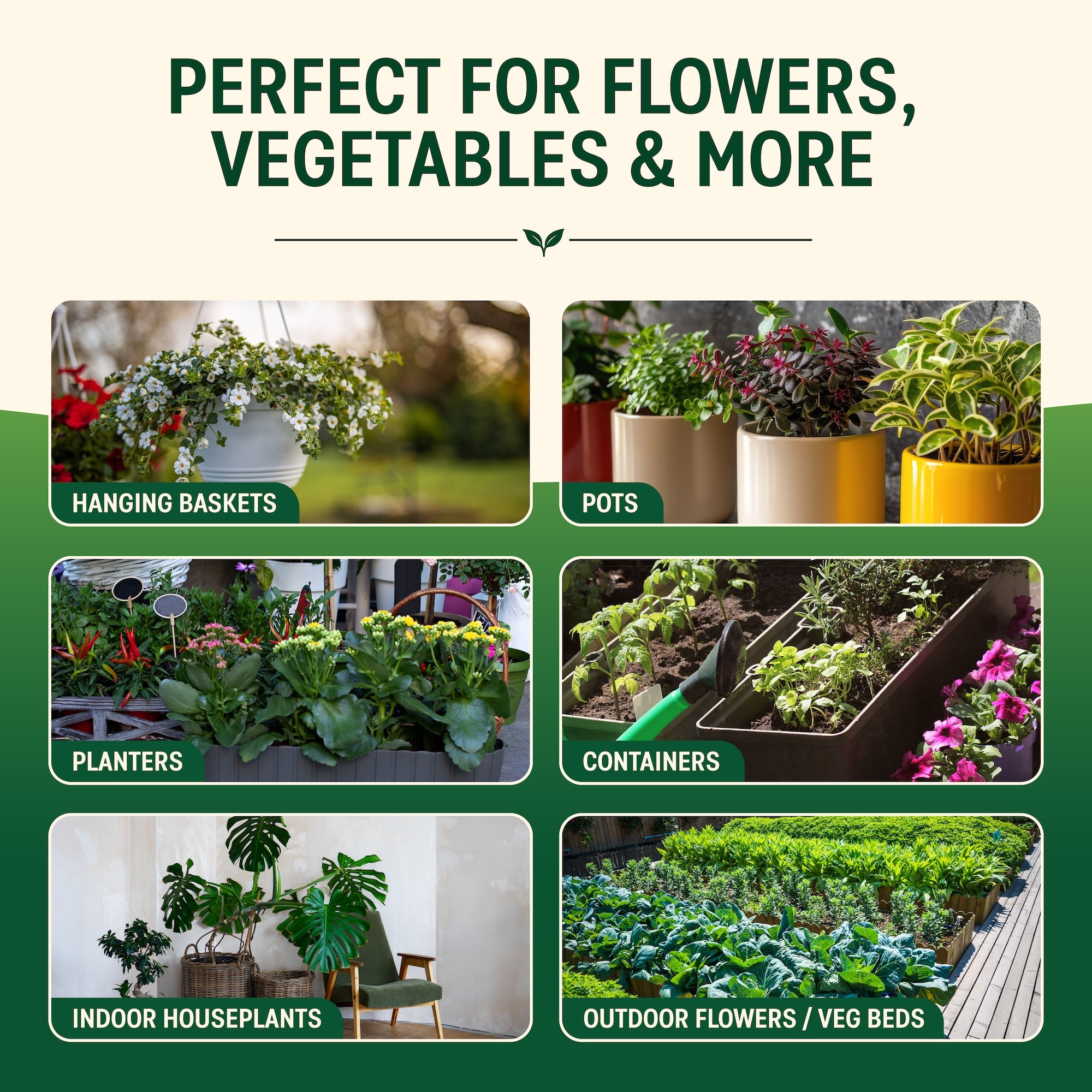 Hydro Gel - Keeps Plants Hydrated