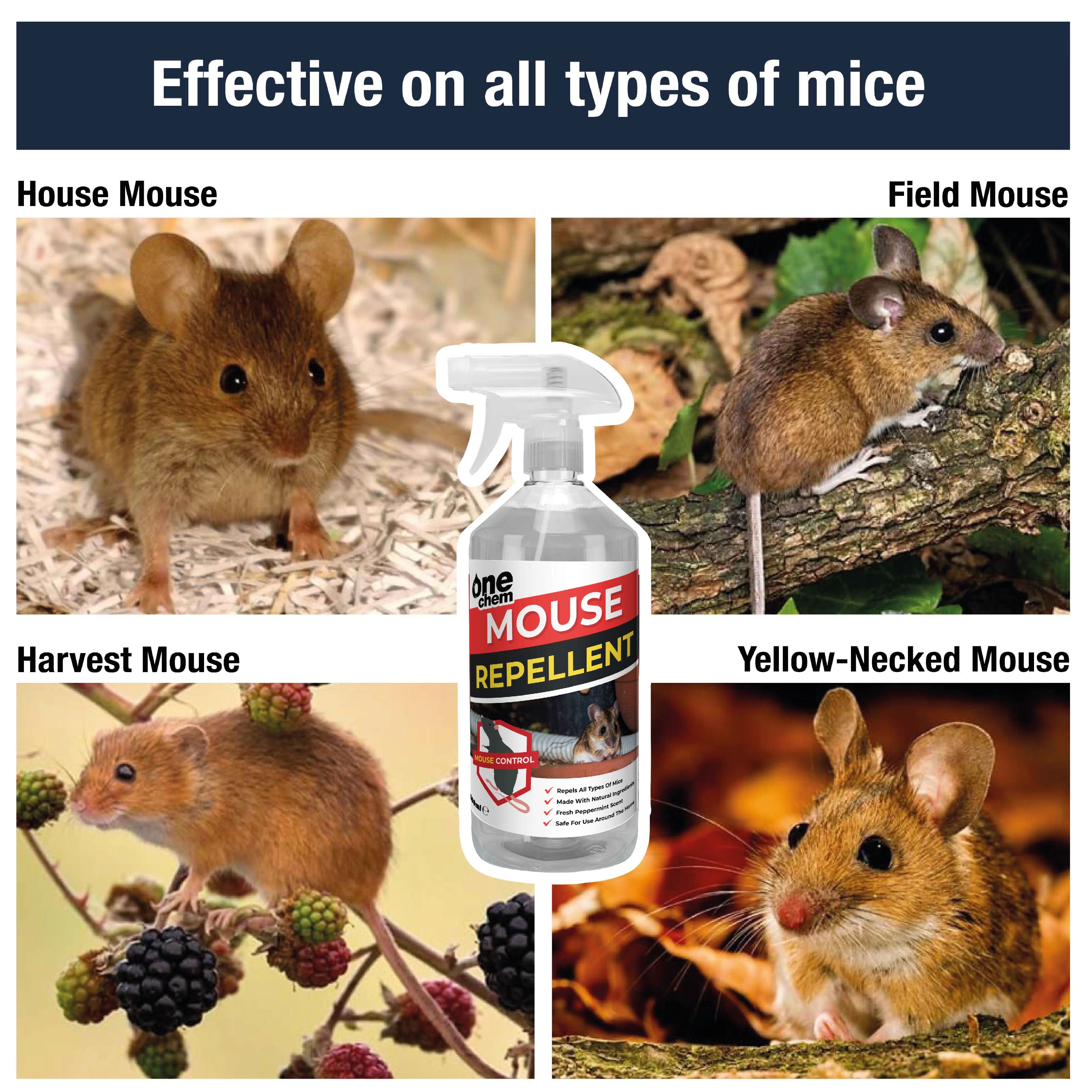 One Chem Mouse Repellent Spray - Peppermint Scent