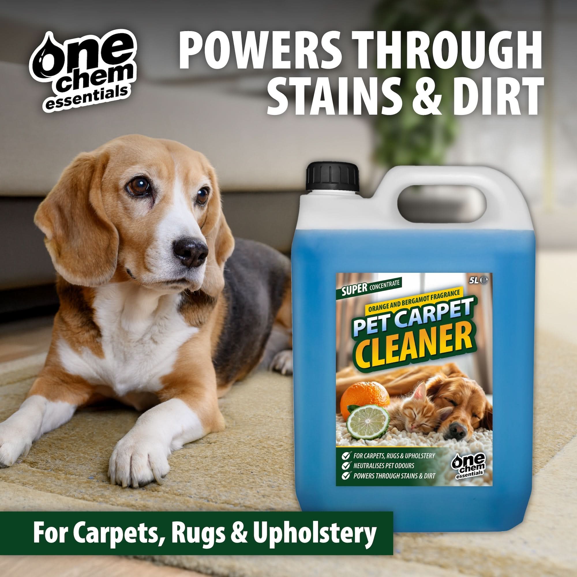 One Chem Essentials Pet Carpet Cleaner - Orange & Bergamot