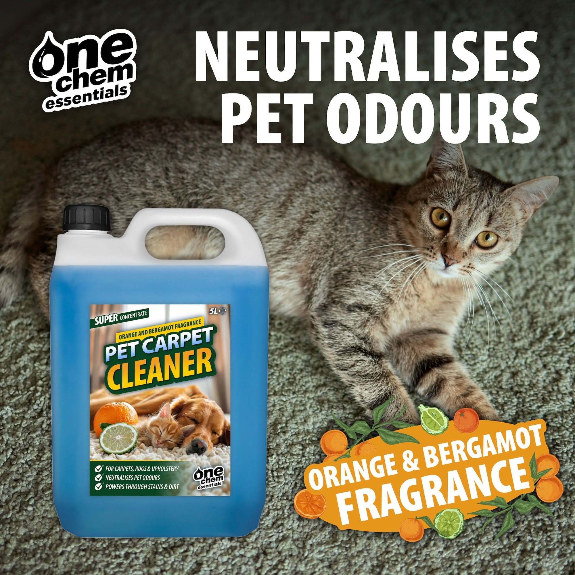 One Chem Essentials Pet Carpet Cleaner - Orange & Bergamot