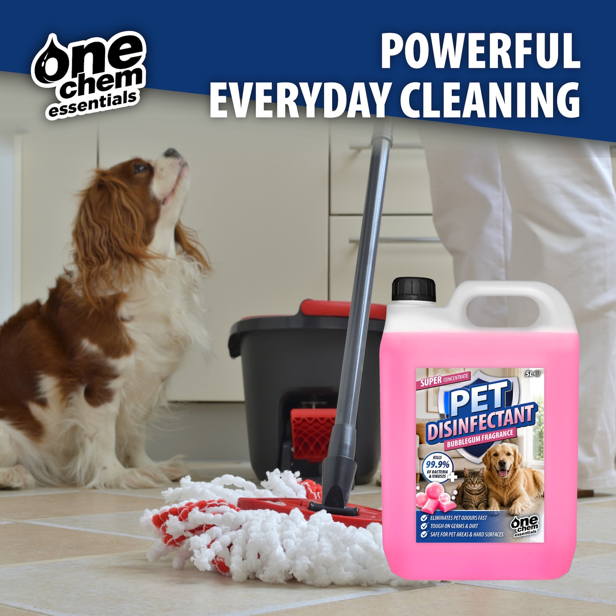One Chem Essentials Pet Disinfectant – Bubblegum Fragrance