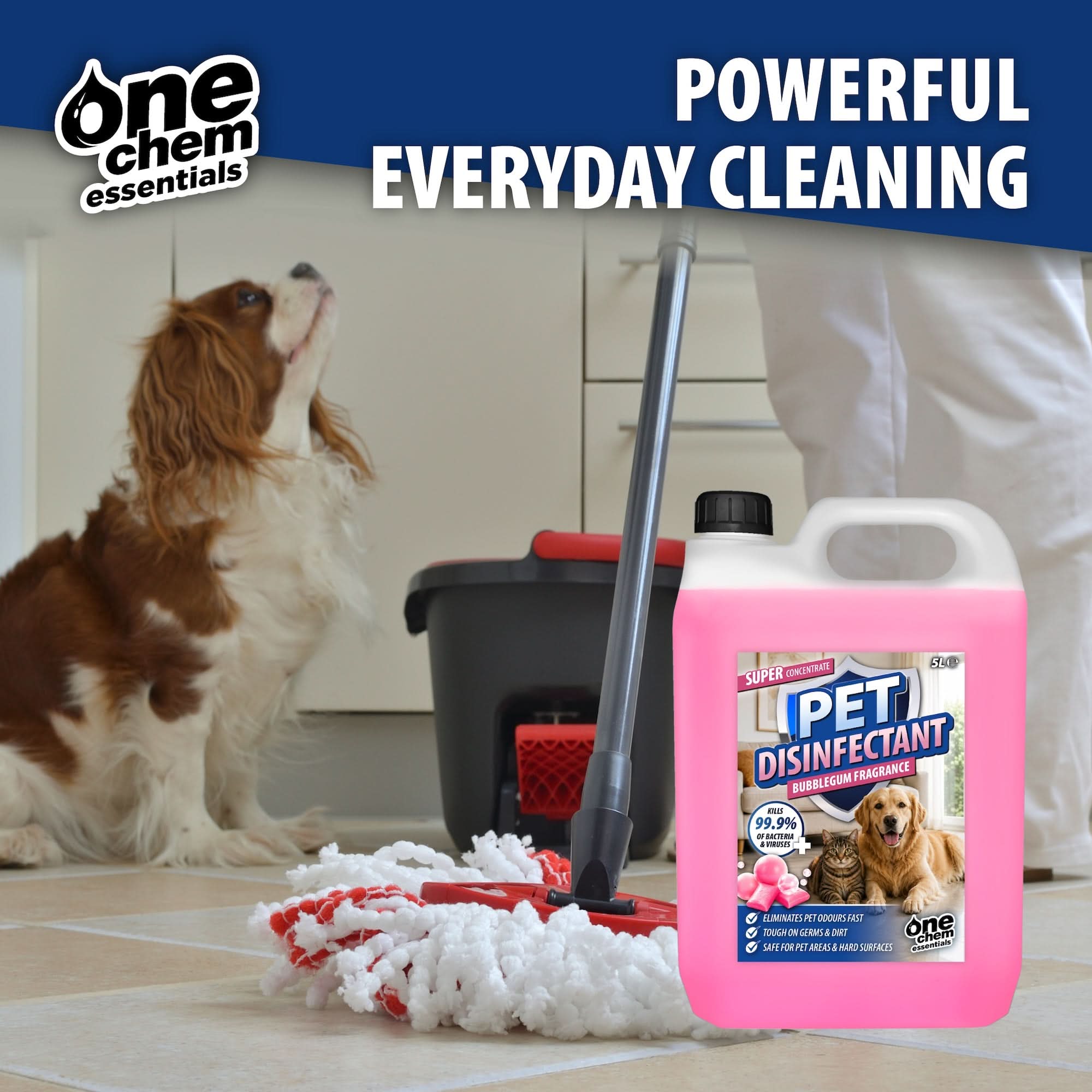 One Chem Essentials Pet Disinfectant – Bubblegum Fragrance