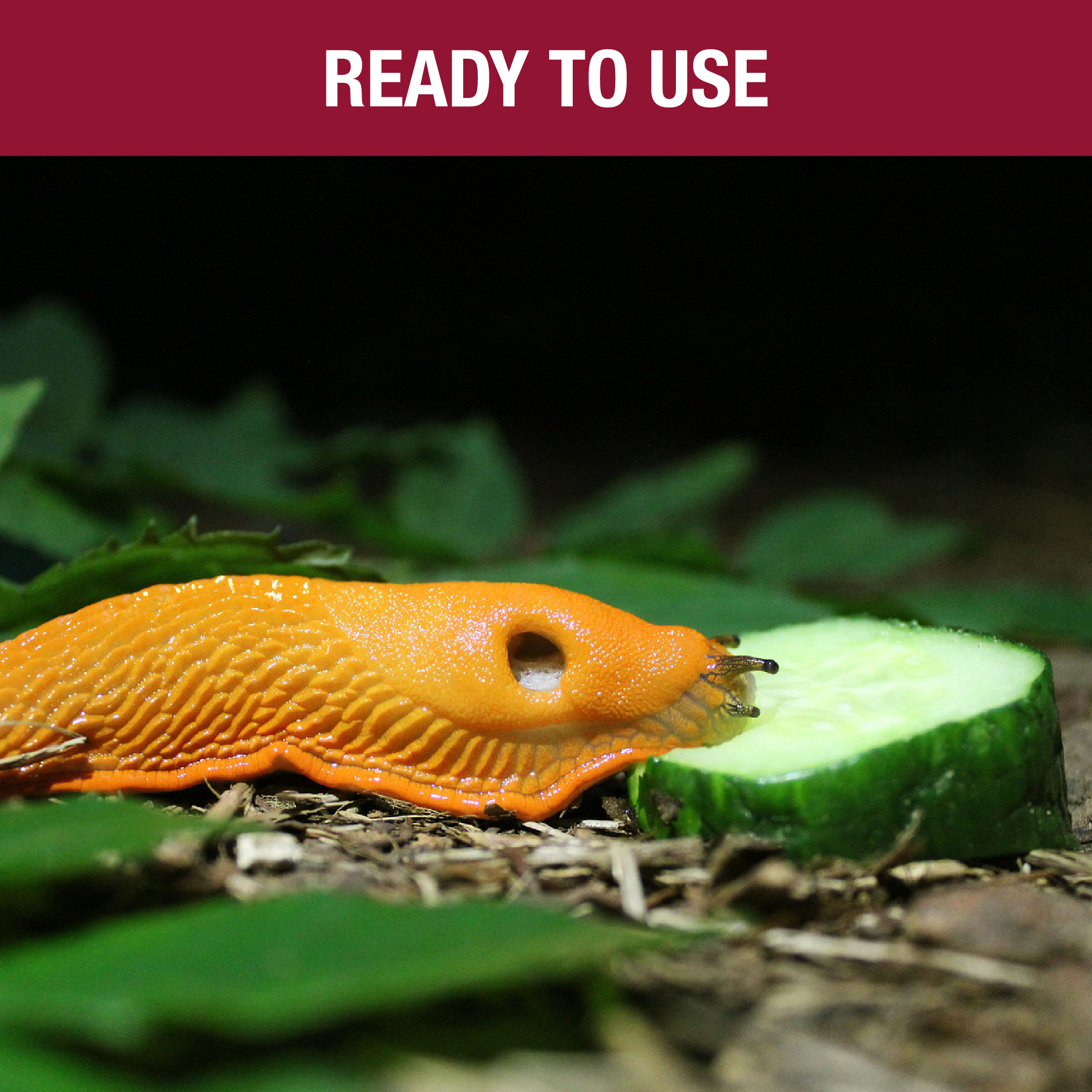 Slugblast Slug Defence Plant Spray, 750 ml