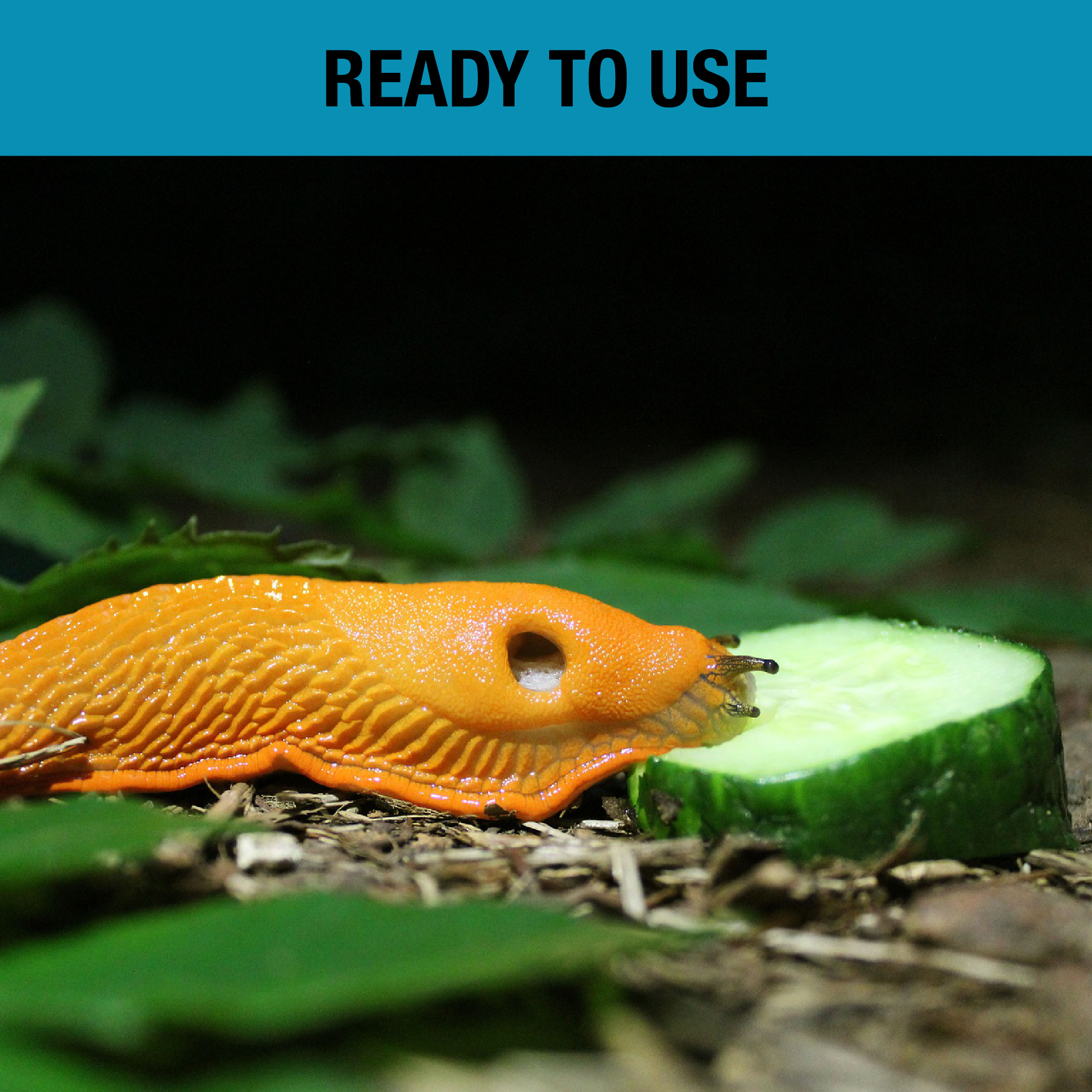 Spear & Jackson Slug Defence Plant Spray