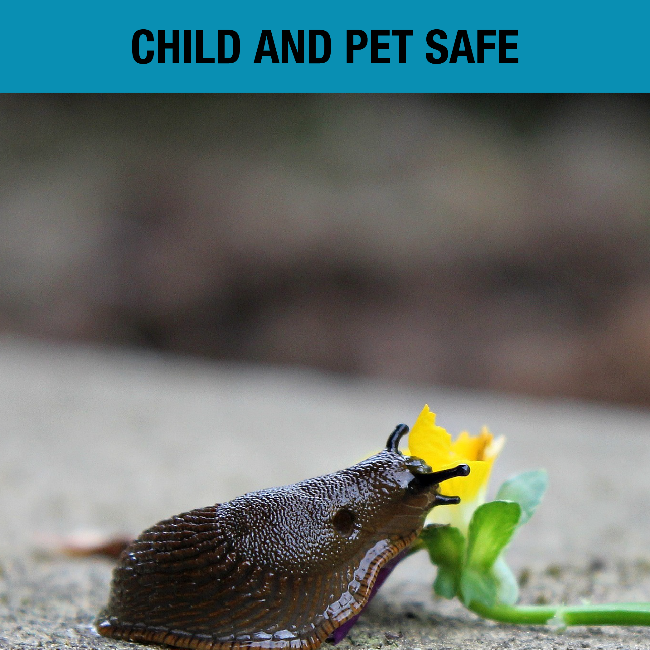 Spear & Jackson Slug Defence Plant Spray