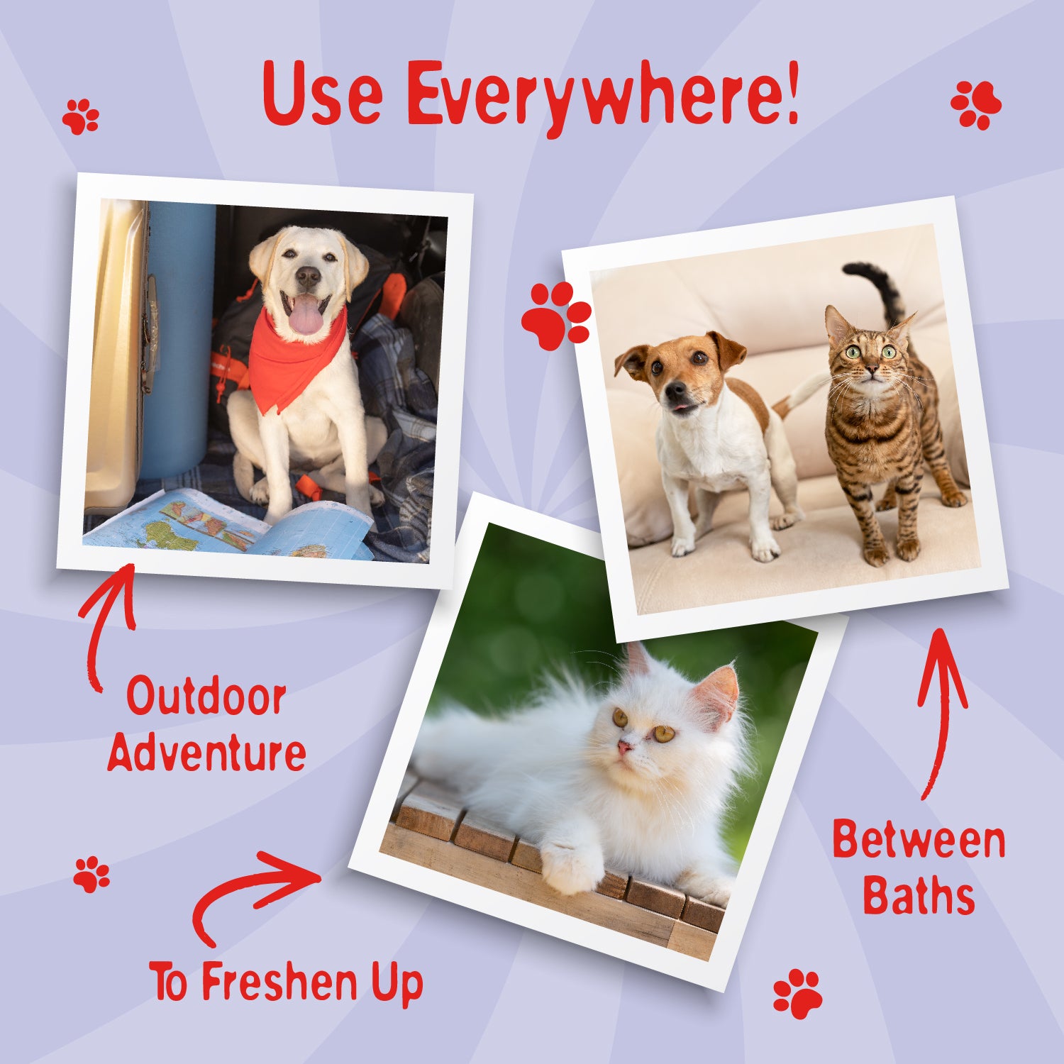 Swizzels Love Hearts Pet Wash Dry Shampoo