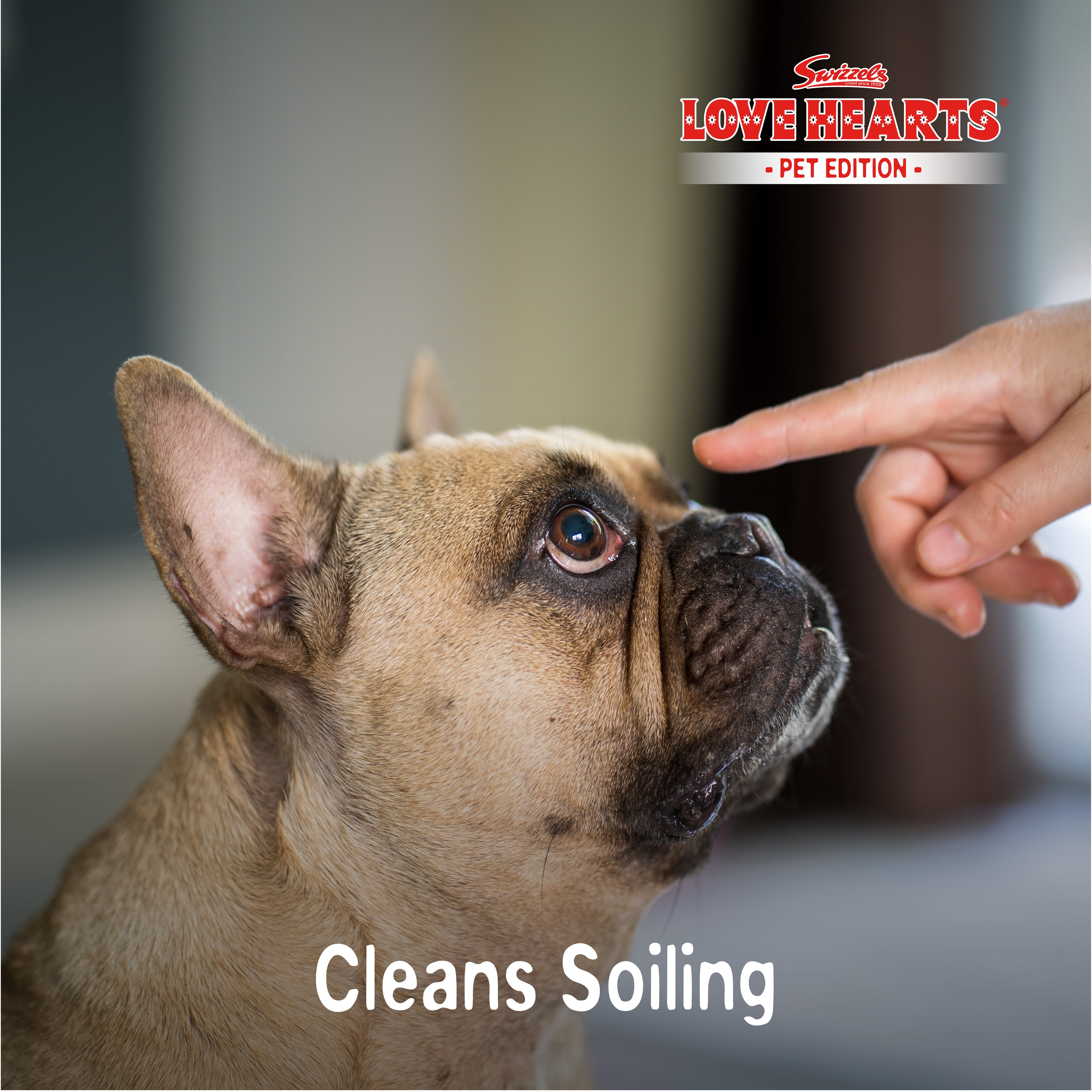 Swizzels Love Hearts Pet Stain & Odour Remover, 2 x 750 ml, Apple Scent