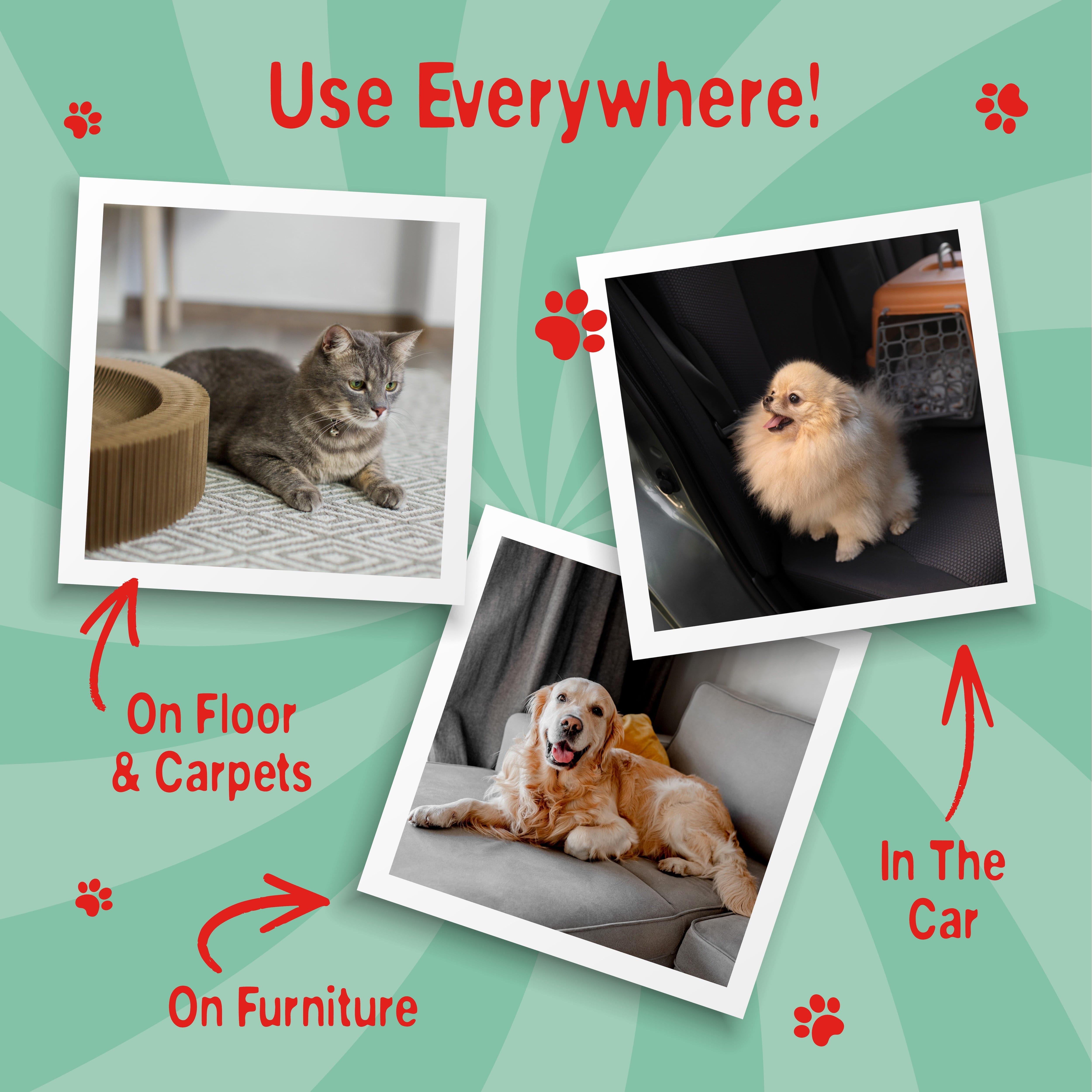 Swizzels Love Hearts Pet Stain & Odour Remover, 750 ml, Apple Scent