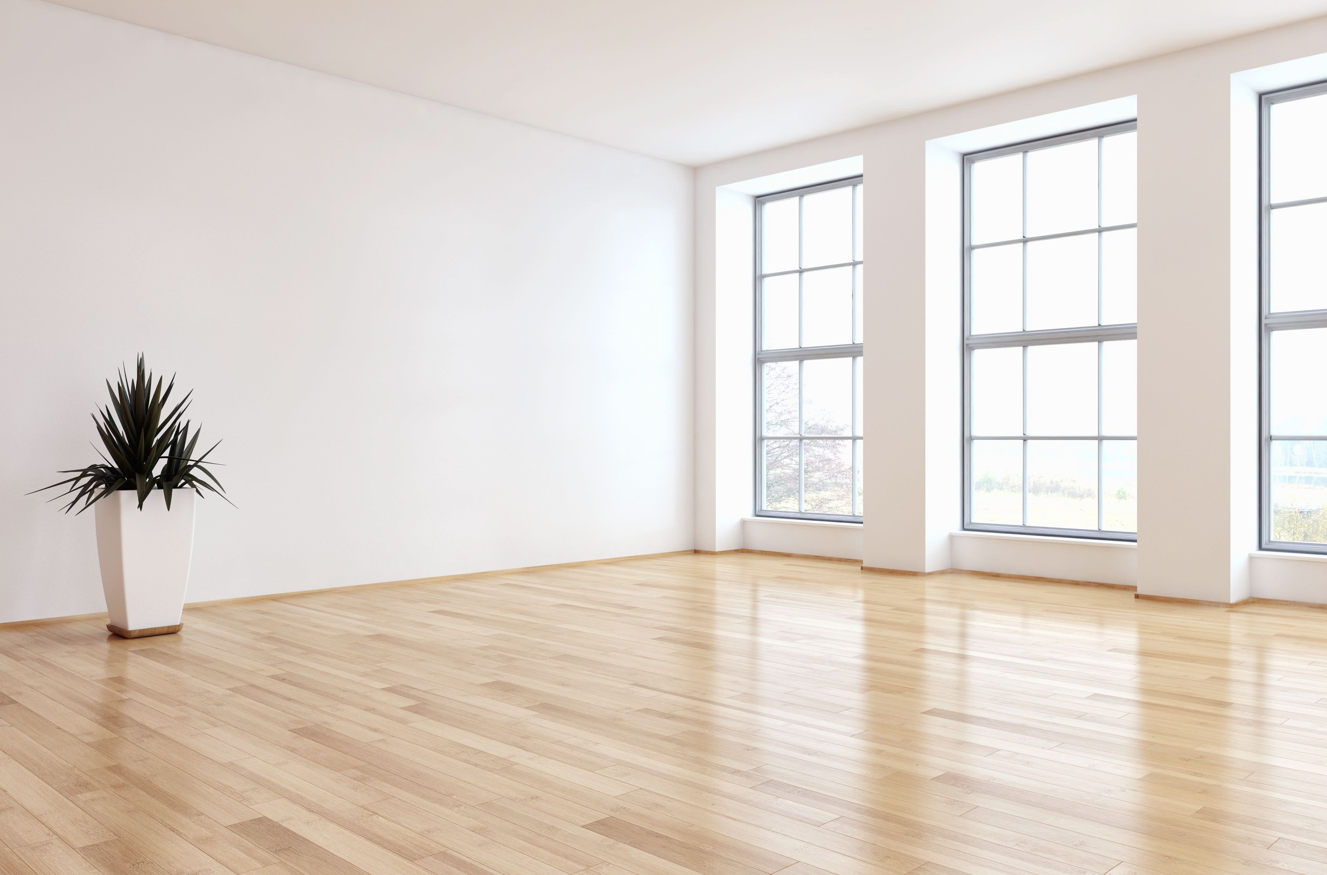 One Chem Professional Sugar Soap Concentrate