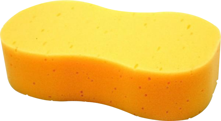 jumbo sponge