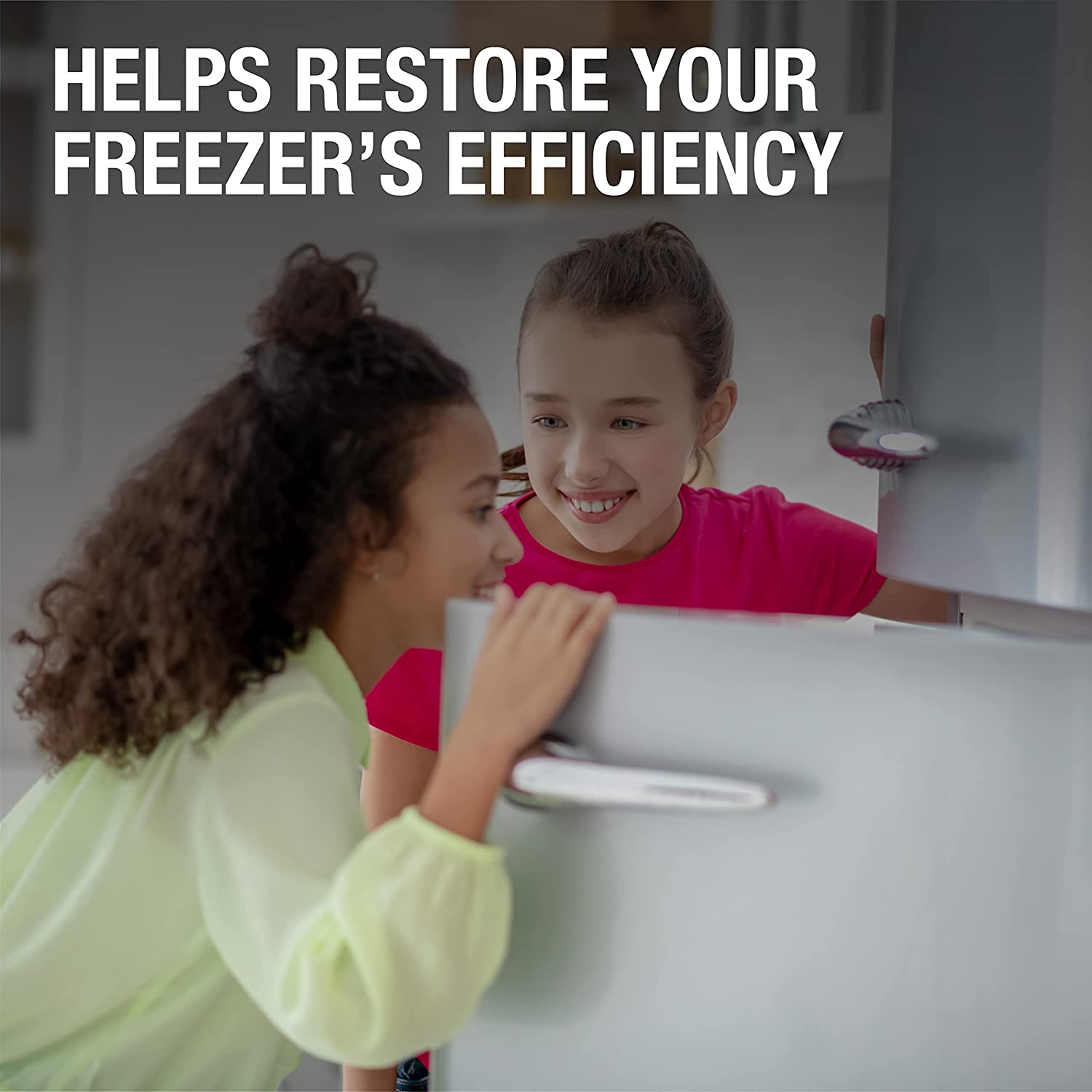 One Chem Freezer Buddy 2 x 500ml