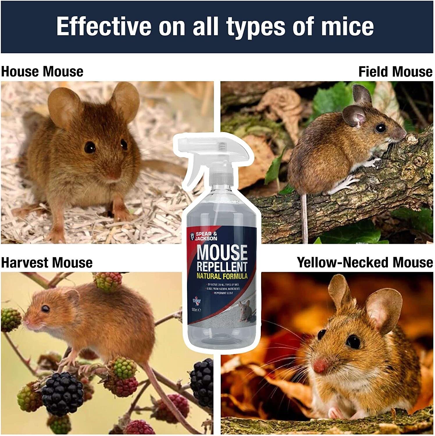 Mouse Repellent 500ml Peppermint Scent Spear and Jackson