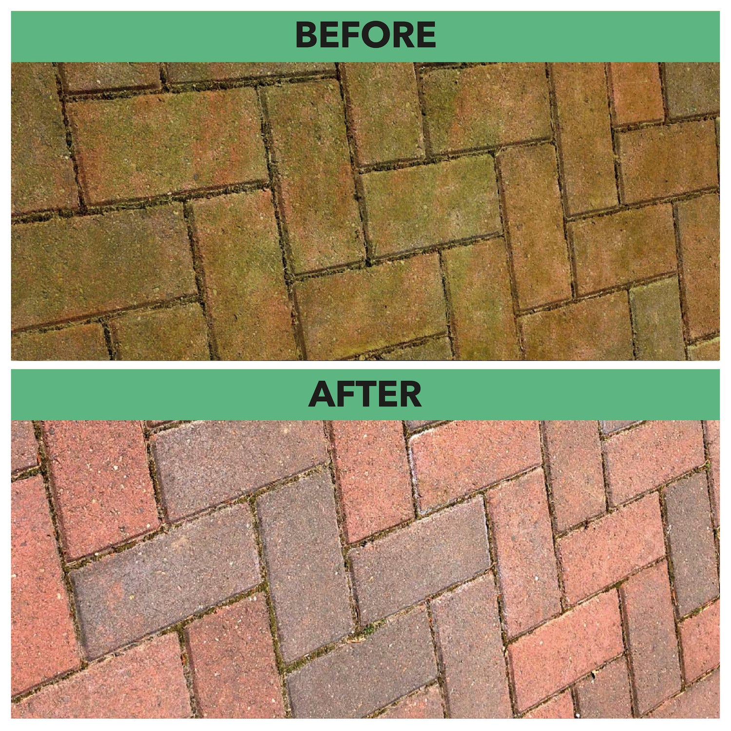 spray and leave algea before and after