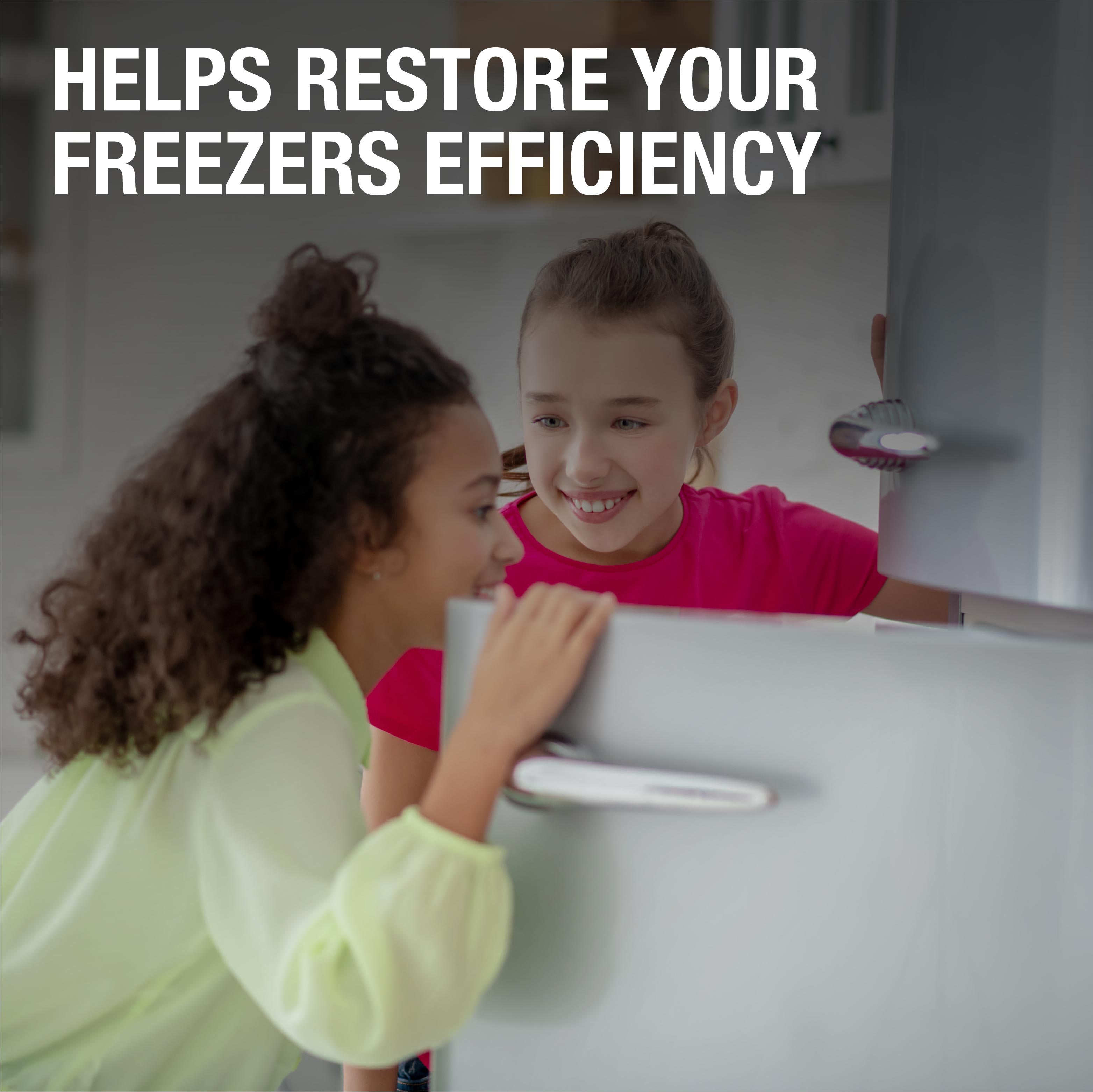 Spear and Jackson Freezer Defroster 2 x 500ml