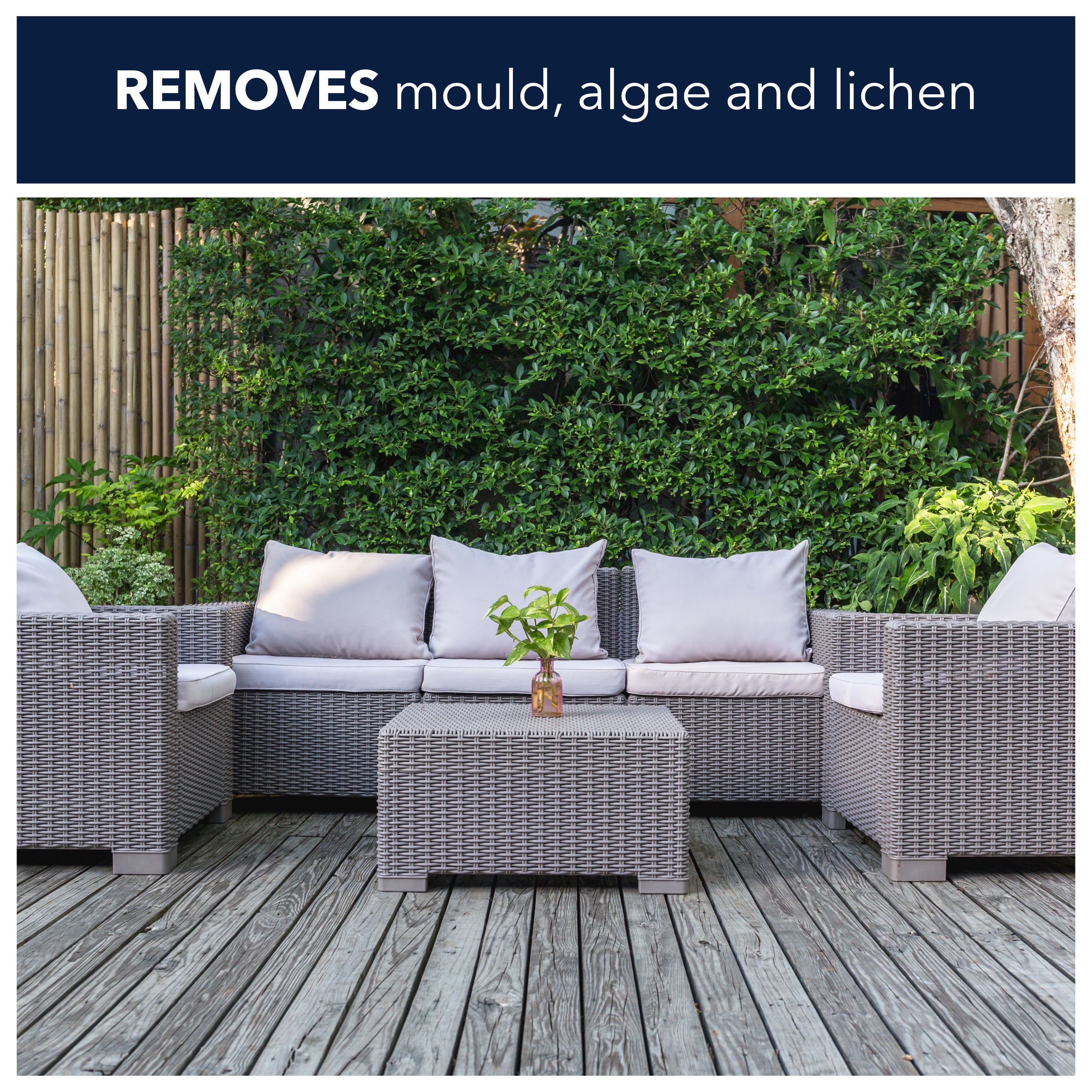 removes mould, algae and lichen