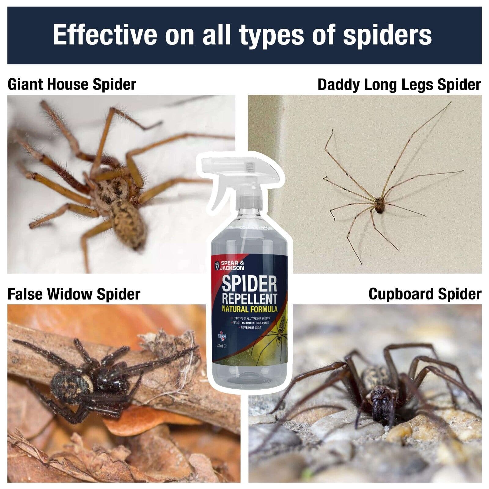 Spider Repellent 500ml Peppermint Scent Spear and Jackson