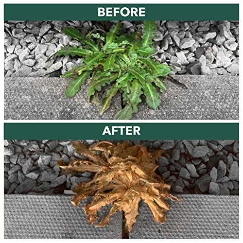 Weedblast Fast Acting Weedkiller 3 x 5 Litre with Long Hose Trigger (Ready to use), See Results Within 24 hours