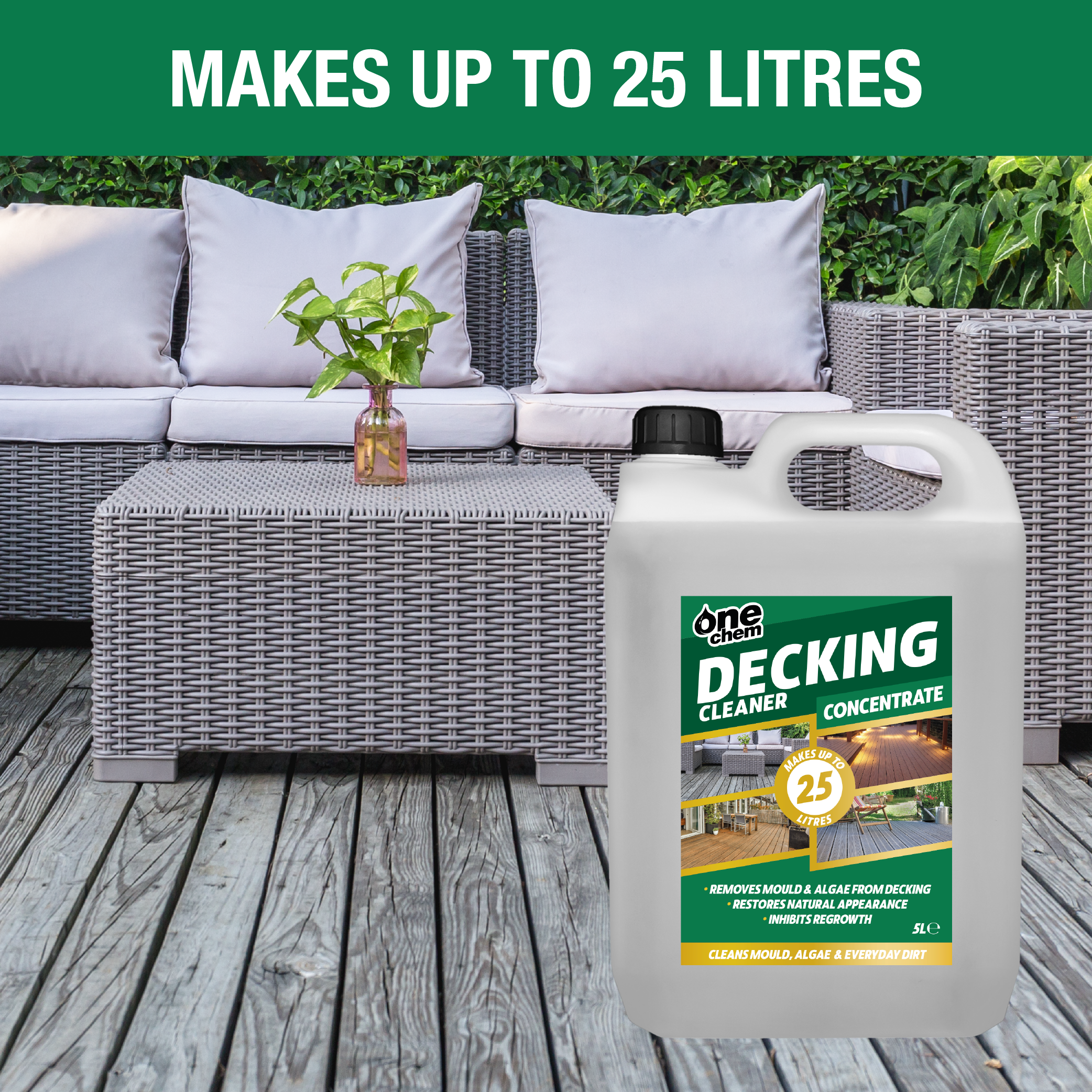 One Chem Decking Cleaner 5 Litre Concentrate (with 5 L Garden Sprayer)