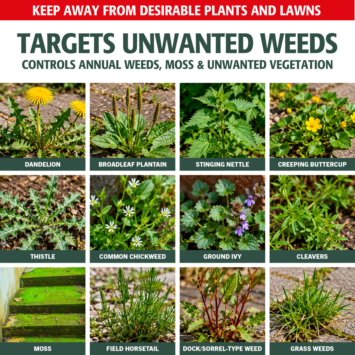 Enviro Works Weedblast Fast Acting Weedkiller