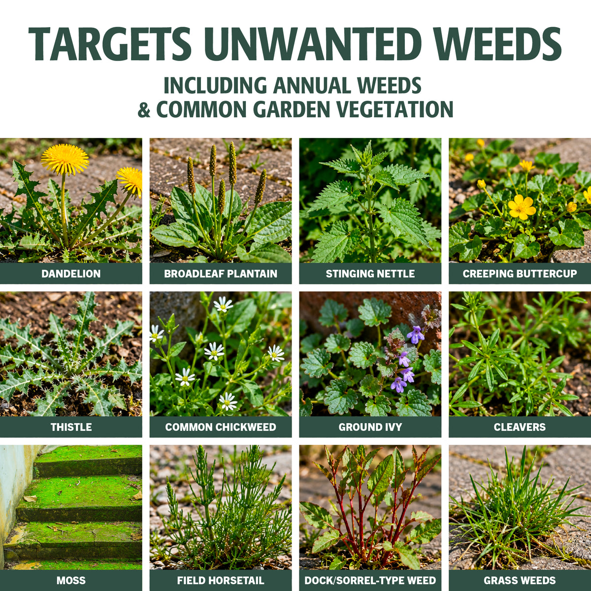 Enviro Works Weed Gone - Weedkiller